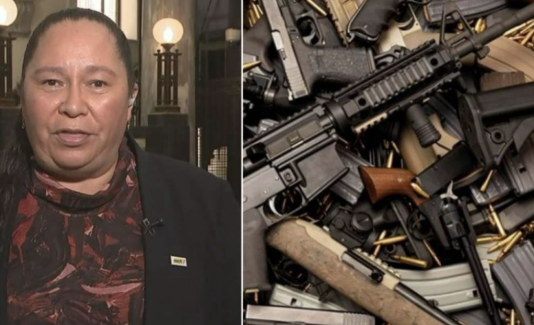 Gun Nutter Nicole McKee & the MAAGA gun freaks